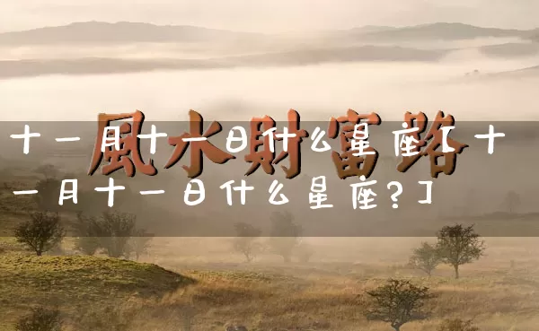 十一月十一日什么星座【十一月十一日什么星座?】_https://www.nbtfsb.com_道源国学_第1张