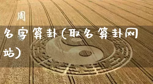 名字算卦(取名算卦网站)_https://www.nbtfsb.com_国学动态_第1张