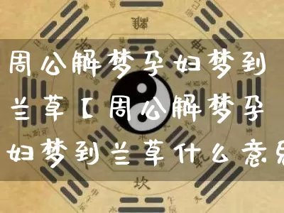 周公解梦孕妇梦到兰草【周公解梦孕妇梦到兰草什么意思】_https://www.nbtfsb.com_生肖星座_第1张