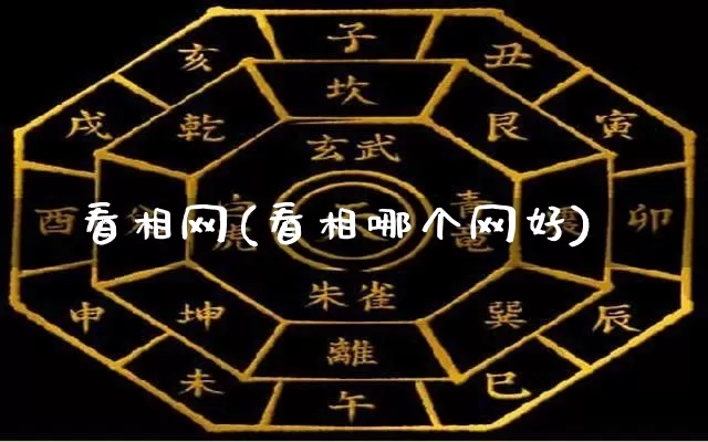 看相网(看相哪个网好)_https://www.nbtfsb.com_国学动态_第1张