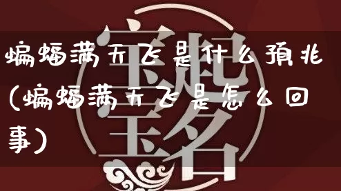 蝙蝠满天飞是什么预兆(蝙蝠满天飞是怎么回事)_https://www.nbtfsb.com_易经起名_第1张
