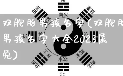 双胞胎男孩名字(双胞胎男孩名字大全2023属兔)_https://www.nbtfsb.com_国学动态_第1张