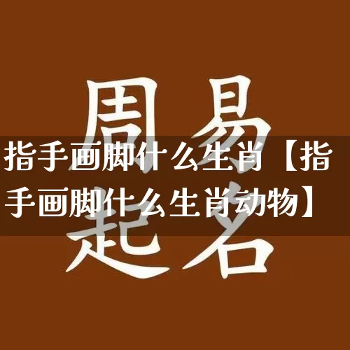 指手画脚什么生肖【指手画脚什么生肖动物】_https://www.nbtfsb.com_五行风水_第1张