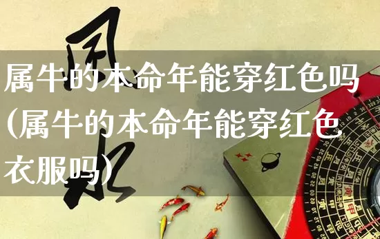属牛的本命年能穿红色吗(属牛的本命年能穿红色衣服吗)_https://www.nbtfsb.com_道源国学_第1张