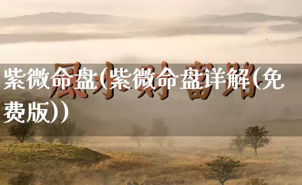 紫微命盘(紫微命盘详解(免费版))_https://www.nbtfsb.com_生肖星座_第1张