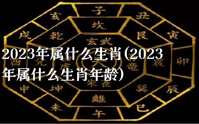 2023年属什么生肖(2023年属什么生肖年龄)_https://www.nbtfsb.com_五行风水_第1张