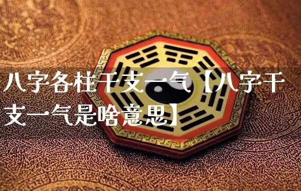 八字各柱干支一气【八字干支一气是啥意思】_https://www.nbtfsb.com_国学动态_第1张
