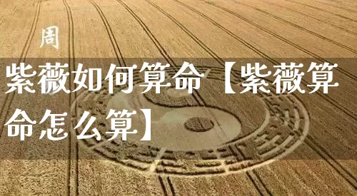 紫薇如何算命【紫薇算命怎么算】_https://www.nbtfsb.com_生肖星座_第1张