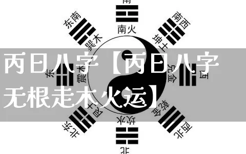 丙日八字【丙日八字无根走木火运】_https://www.nbtfsb.com_周公解梦_第1张