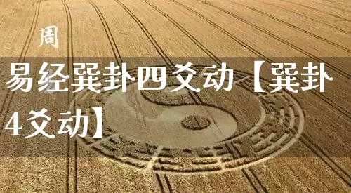 易经巽卦四爻动【巽卦4爻动】_https://www.nbtfsb.com_五行风水_第1张