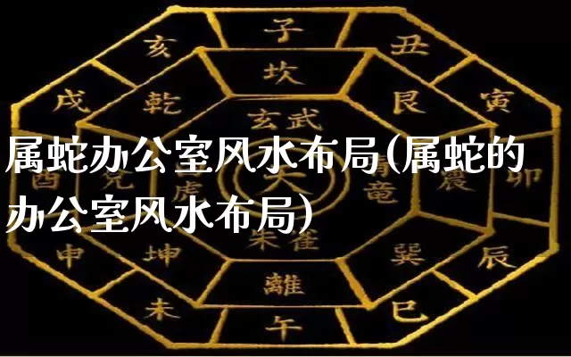 属蛇办公室风水布局(属蛇的办公室风水布局)_https://www.nbtfsb.com_生肖星座_第1张