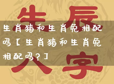 生肖猪和生肖兔相配吗【生肖猪和生肖兔相配吗?】_https://www.nbtfsb.com_道源国学_第1张