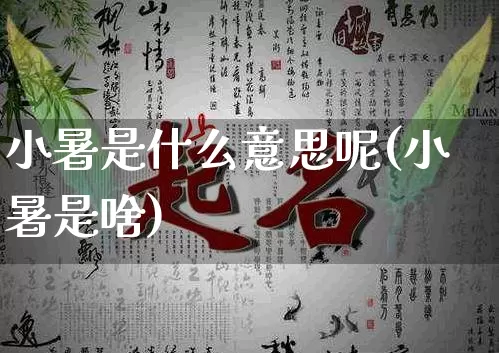 小暑是什么意思呢(小暑是啥)_https://www.nbtfsb.com_道源国学_第1张