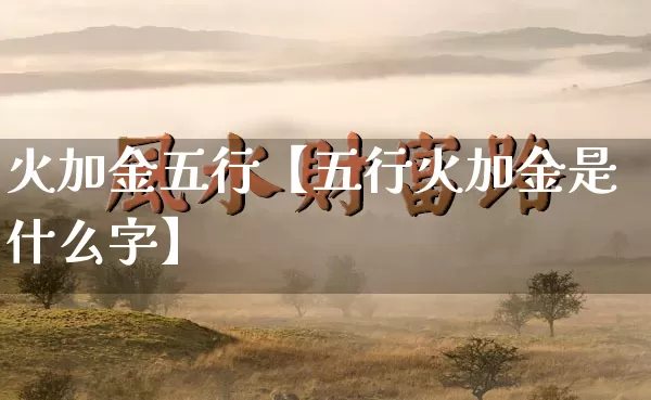 火加金五行【五行火加金是什么字】_https://www.nbtfsb.com_生肖星座_第1张