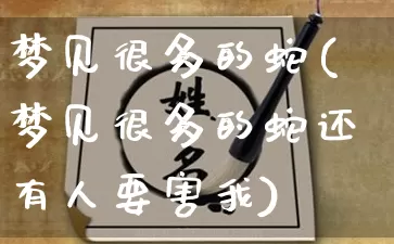 梦见很多的蛇(梦见很多的蛇还有人要害我)_https://www.nbtfsb.com_生肖星座_第1张