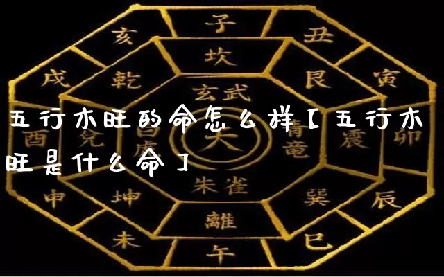 五行木旺的命怎么样【五行木旺是什么命】_https://www.nbtfsb.com_国学动态_第1张