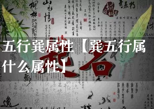 五行巽属性【巽五行属什么属性】_https://www.nbtfsb.com_生肖星座_第1张