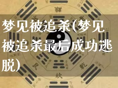 梦见被追杀(梦见被追杀最后成功逃脱)_https://www.nbtfsb.com_道源国学_第1张