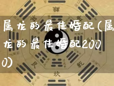 属龙的最佳婚配(属龙的最佳婚配2000)_https://www.nbtfsb.com_道源国学_第1张