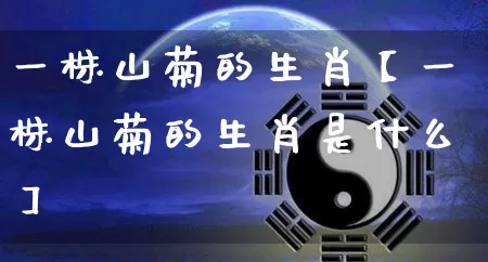 一株山菊的生肖【一株山菊的生肖是什么】_https://www.nbtfsb.com_道源国学_第1张