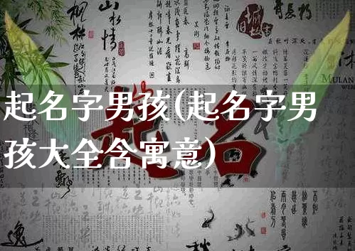 起名字男孩(起名字男孩大全含寓意)_五行风水_第1张_易东行 起名字男孩(起名字男孩大全含寓意)_https://www.nbtfsb.com_五行风水_第1张
