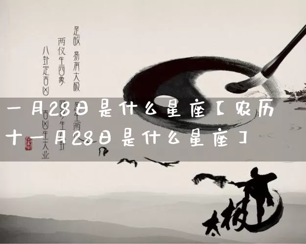 一月28日是什么星座【农历十一月28日是什么星座】_https://www.nbtfsb.com_八字算命_第1张