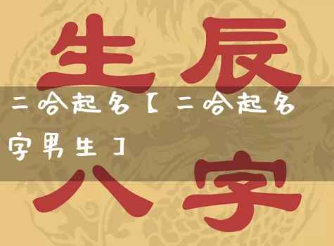 二哈起名【二哈起名字男生】_https://www.nbtfsb.com_易经起名_第1张