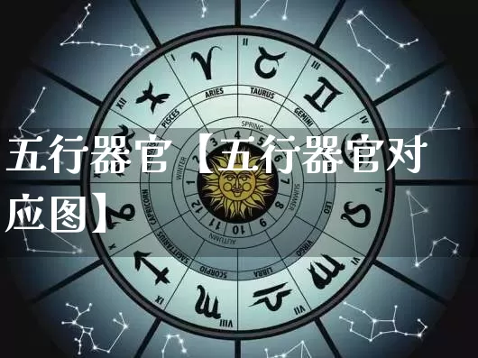 五行器官【五行器官对应图】_https://www.nbtfsb.com_易经起名_第1张