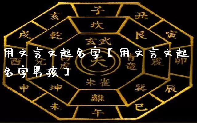 用文言文起名字【用文言文起名字男孩】_https://www.nbtfsb.com_八字算命_第1张