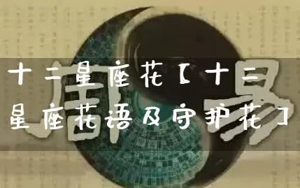十二星座花【十二星座花语及守护花】_https://www.nbtfsb.com_周公解梦_第1张