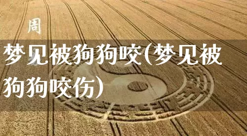梦见被狗狗咬(梦见被狗狗咬伤)_https://www.nbtfsb.com_周公解梦_第1张