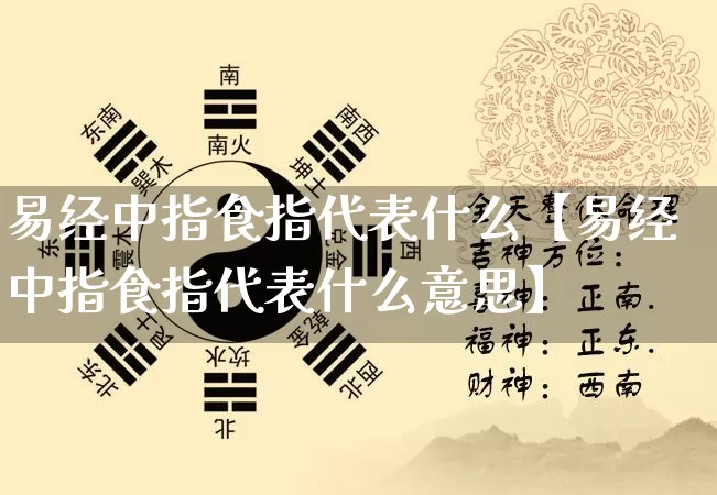 易经中指食指代表什么【易经中指食指代表什么意思】_https://www.nbtfsb.com_周公解梦_第1张