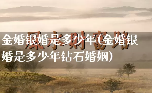 金婚银婚是多少年(金婚银婚是多少年钻石婚姻)_https://www.nbtfsb.com_国学动态_第1张
