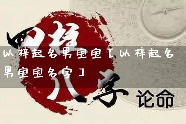 以梓起名男宝宝【以梓起名男宝宝名字】_https://www.nbtfsb.com_国学动态_第1张