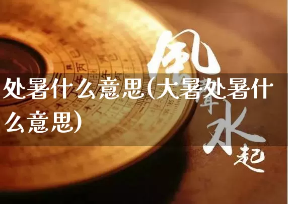 处暑什么意思(大暑处暑什么意思)_https://www.nbtfsb.com_易经起名_第1张