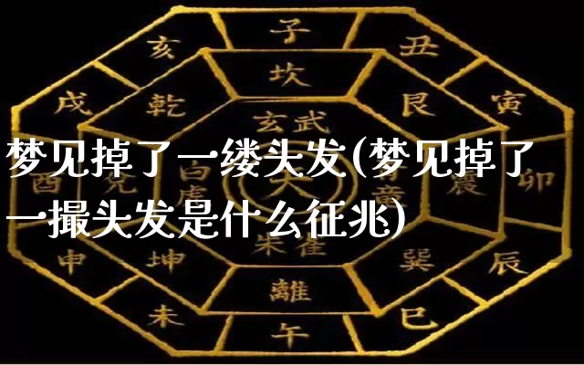 梦见掉了一缕头发(梦见掉了一撮头发是什么征兆)_https://www.nbtfsb.com_生肖星座_第1张