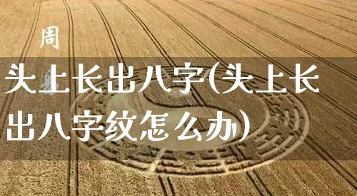头上长出八字(头上长出八字纹怎么办)_https://www.nbtfsb.com_国学动态_第1张