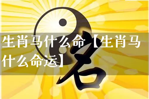 生肖马什么命【生肖马什么命运】_https://www.nbtfsb.com_生肖星座_第1张
