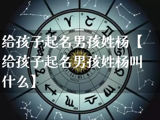 给孩子起名男孩姓杨【给孩子起名男孩姓杨叫什么】_https://www.nbtfsb.com_道源国学_第1张