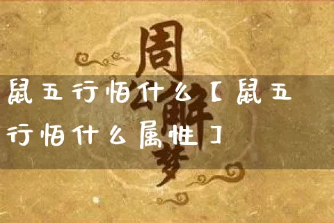 鼠五行怕什么【鼠五行怕什么属性】_https://www.nbtfsb.com_国学动态_第1张