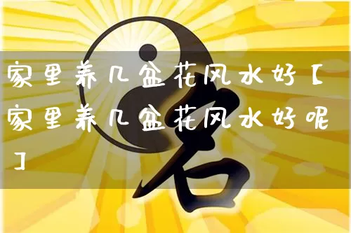 家里养几盆花风水好【家里养几盆花风水好呢】_https://www.nbtfsb.com_五行风水_第1张