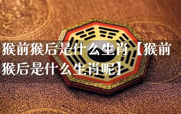 猴前猴后是什么生肖【猴前猴后是什么生肖呢】_https://www.nbtfsb.com_道源国学_第1张