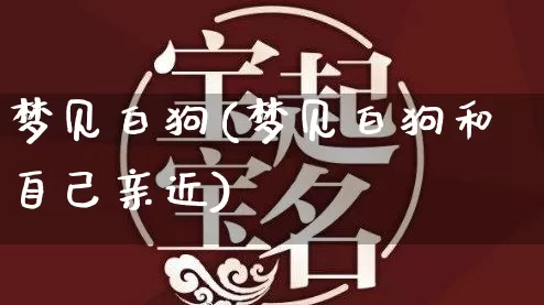 梦见白狗(梦见白狗和自己亲近)_https://www.nbtfsb.com_易经起名_第1张