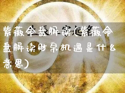 紫薇命盘解读(紫薇命盘解读财帛机遇是什么意思)_https://www.nbtfsb.com_易经起名_第1张
