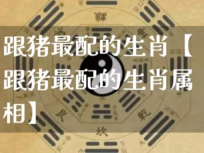 跟猪最配的生肖【跟猪最配的生肖属相】_https://www.nbtfsb.com_五行风水_第1张