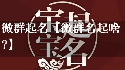 微群起名【微群名起啥?】_https://www.nbtfsb.com_生肖星座_第1张