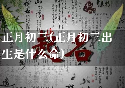 正月初三(正月初三出生是什么命)_https://www.nbtfsb.com_道源国学_第1张
