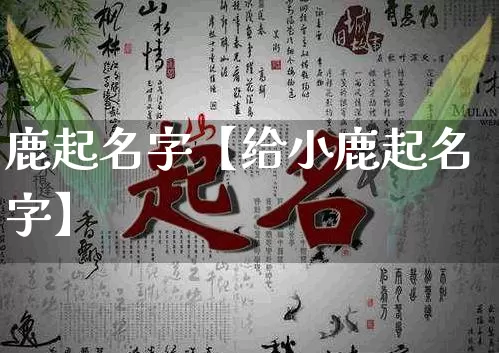 鹿起名字【给小鹿起名字】_https://www.nbtfsb.com_易经起名_第1张