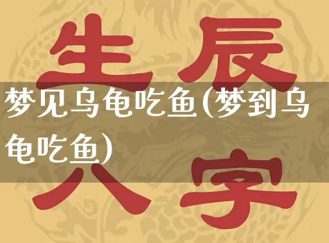梦见乌龟吃鱼(梦到乌龟吃鱼)_https://www.nbtfsb.com_道源国学_第1张