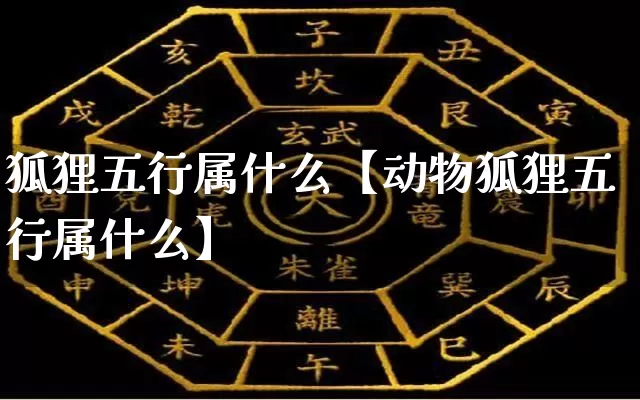 狐狸五行属什么【动物狐狸五行属什么】_https://www.nbtfsb.com_五行风水_第1张